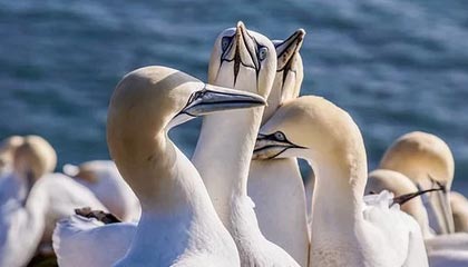 曼城搅局！赫塔德国新秀成四雄争夺对象，巴萨“低成本”计划能否自救？